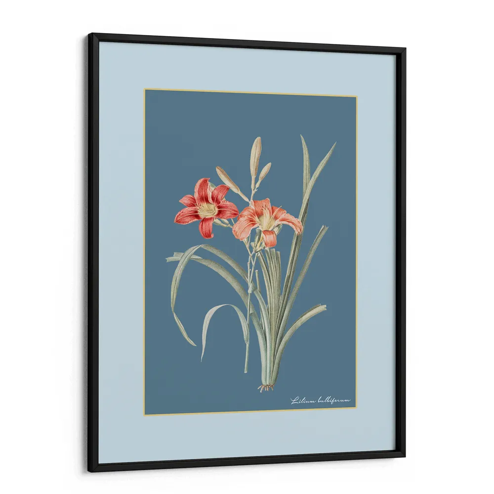 Lily Dreams - Wild Blue