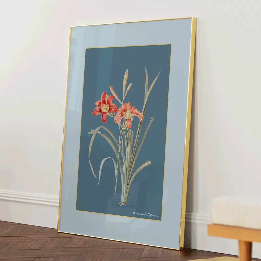 Lily Dreams - Wild Blue