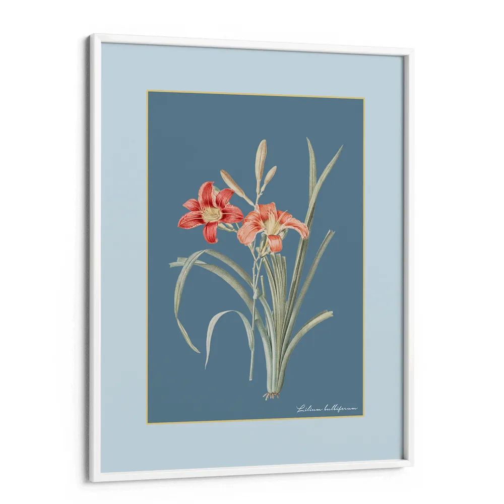 Lily Dreams - Wild Blue