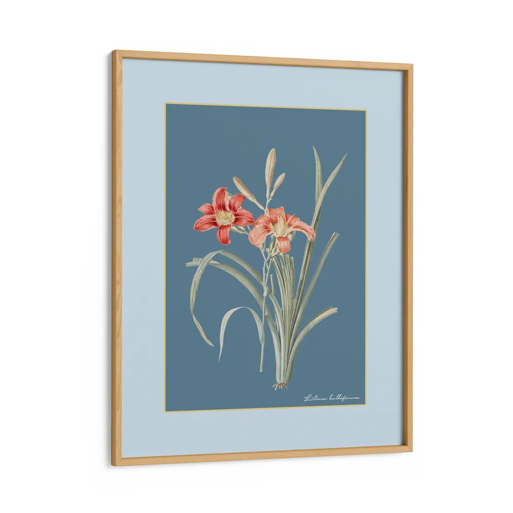 Lily Dreams - Wild Blue