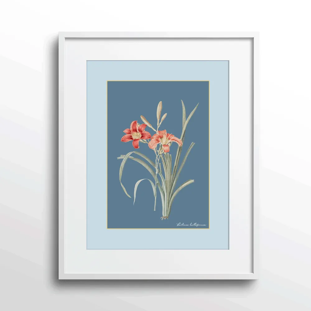 Lily Dreams - Wild Blue