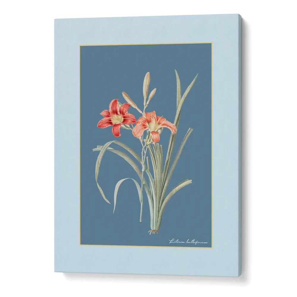 Lily Dreams - Wild Blue