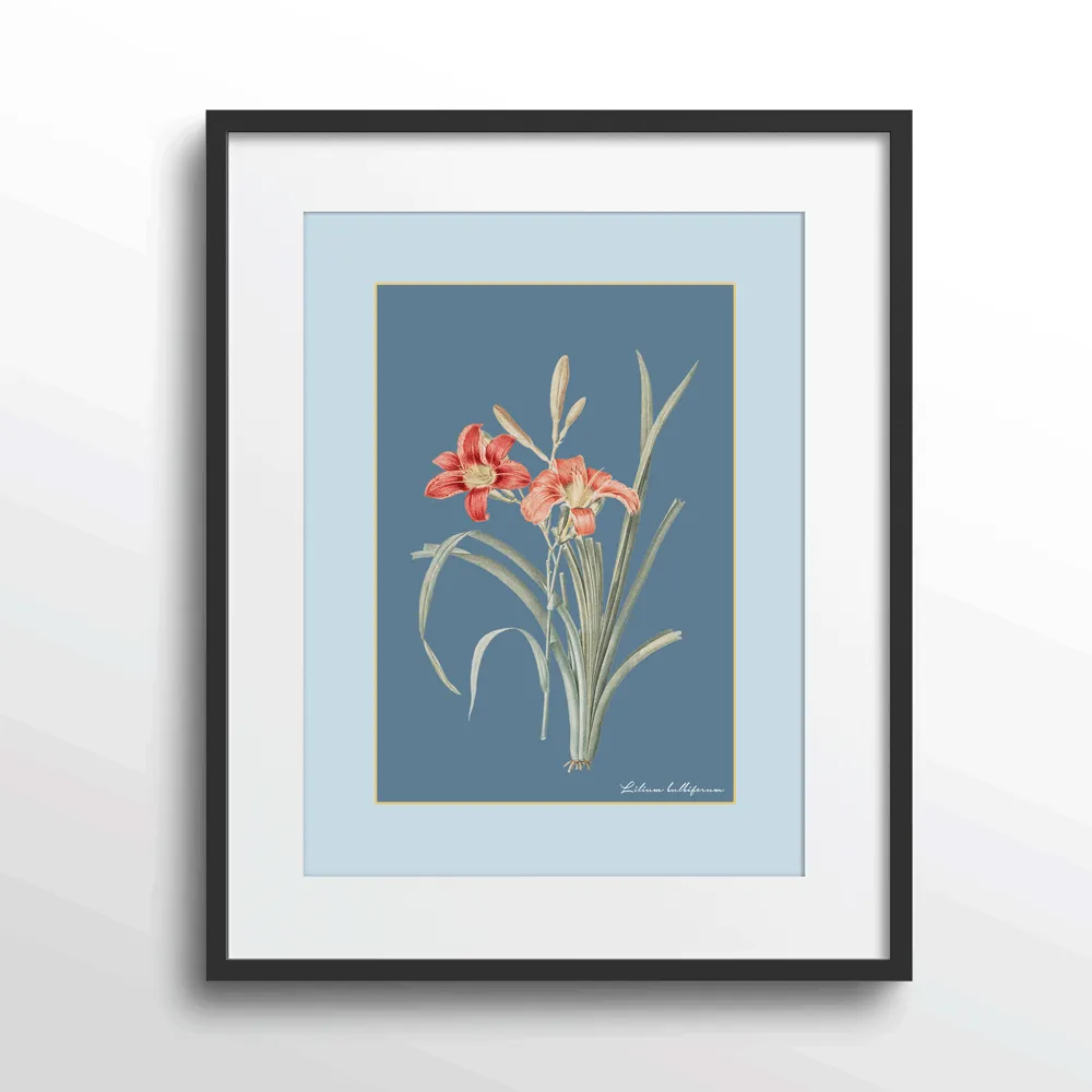 Lily Dreams - Wild Blue