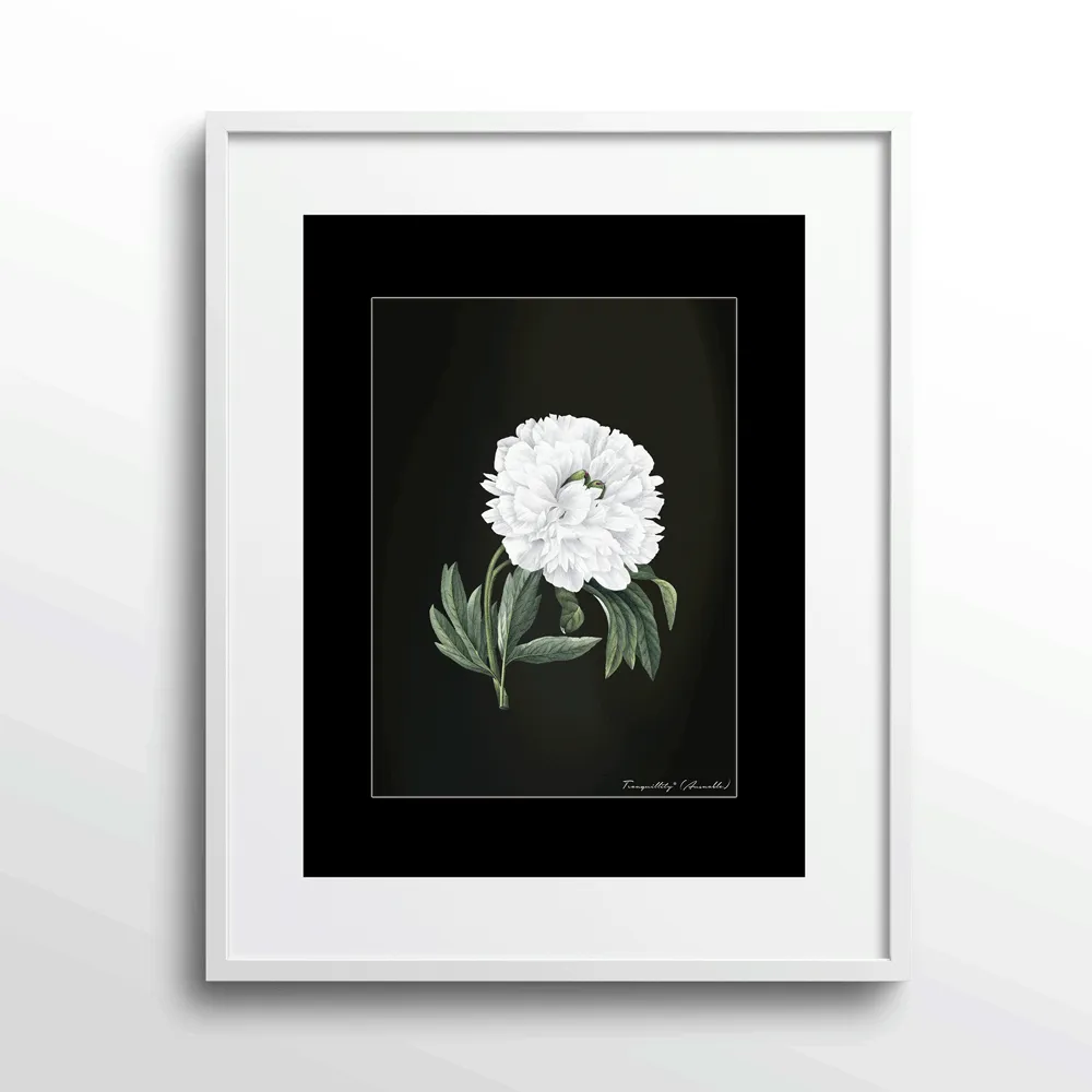 Obsidian Bloom 1