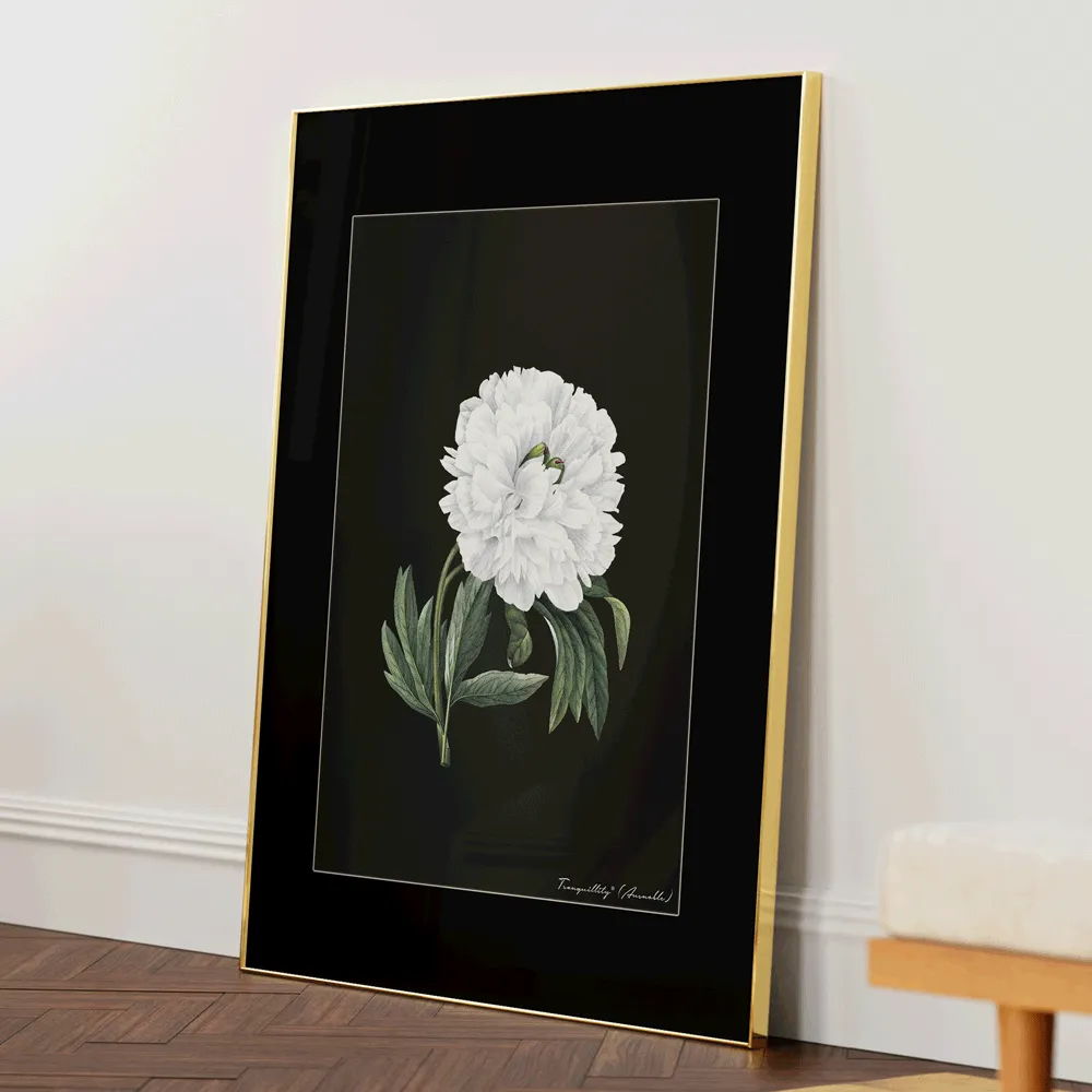 Obsidian Bloom 1