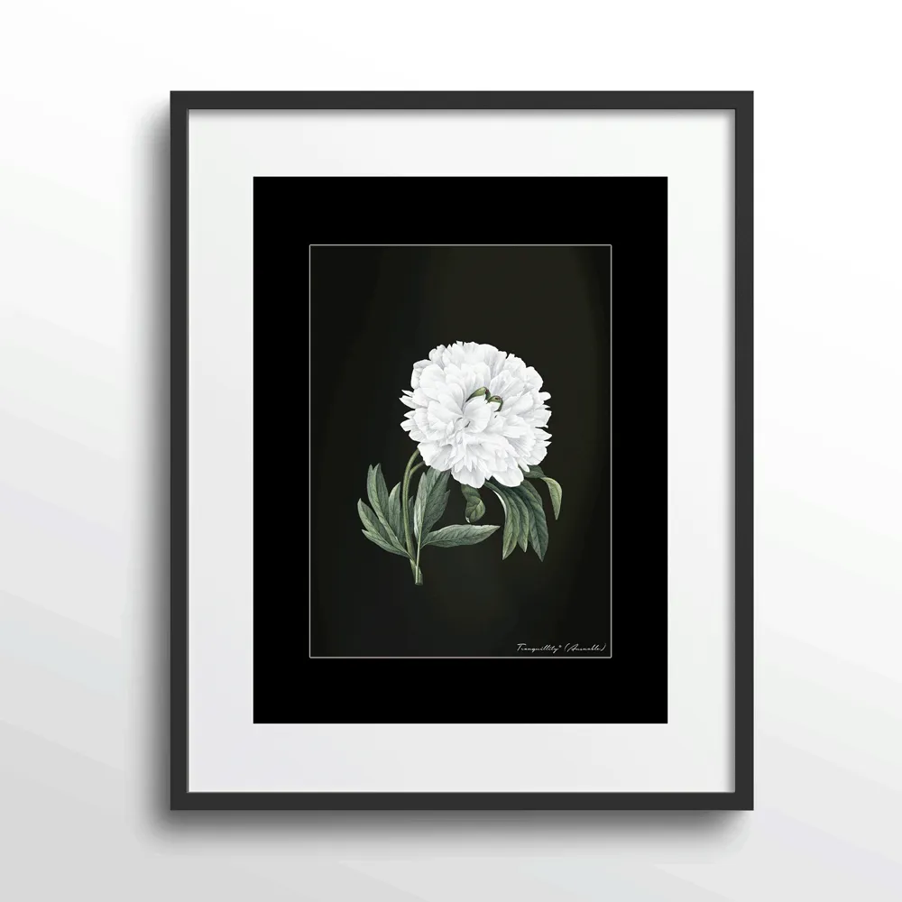 Obsidian Bloom 1