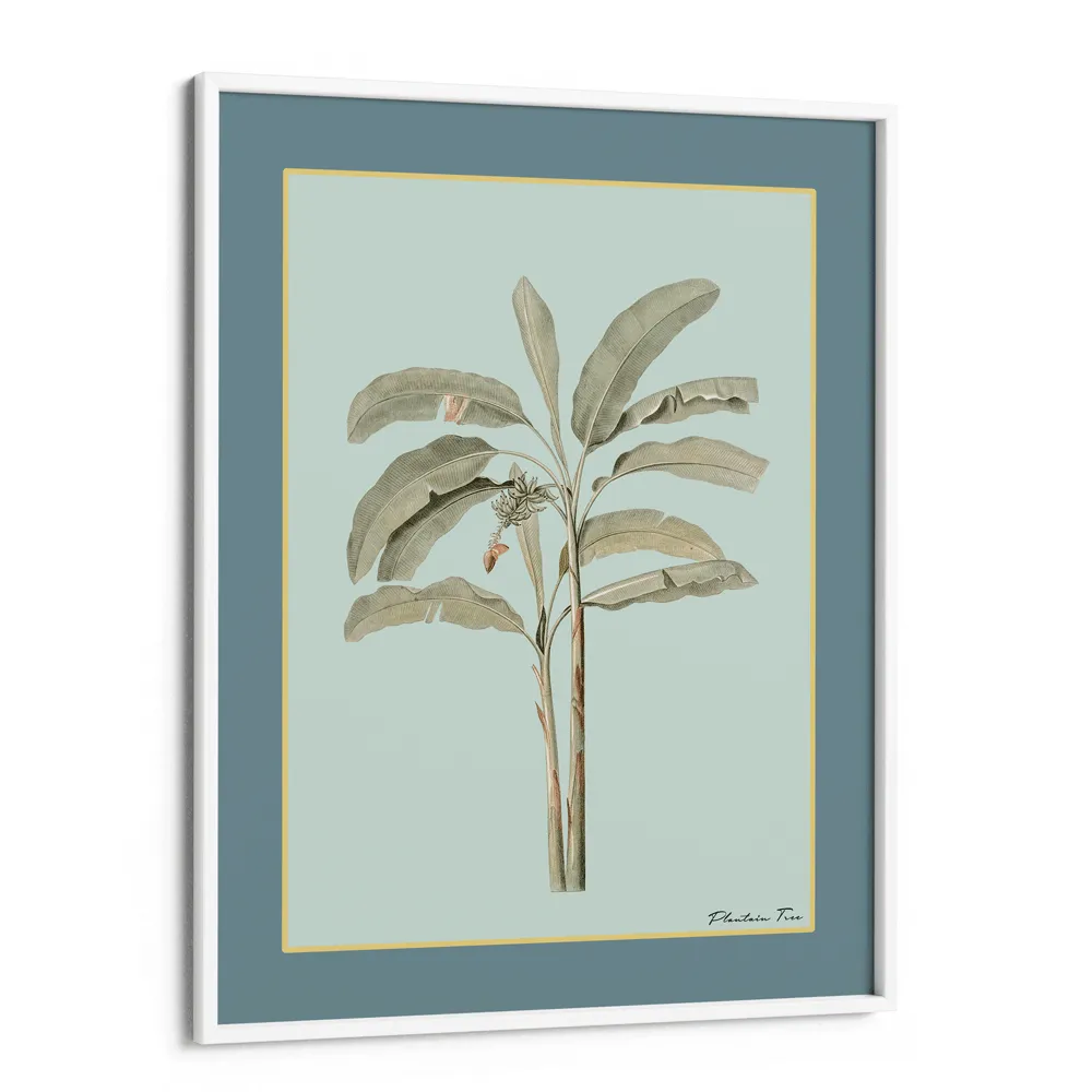 Plantain Tree I - Teal