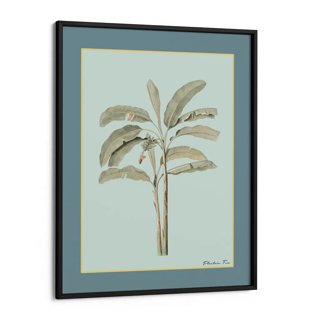 Plantain Tree I - Teal