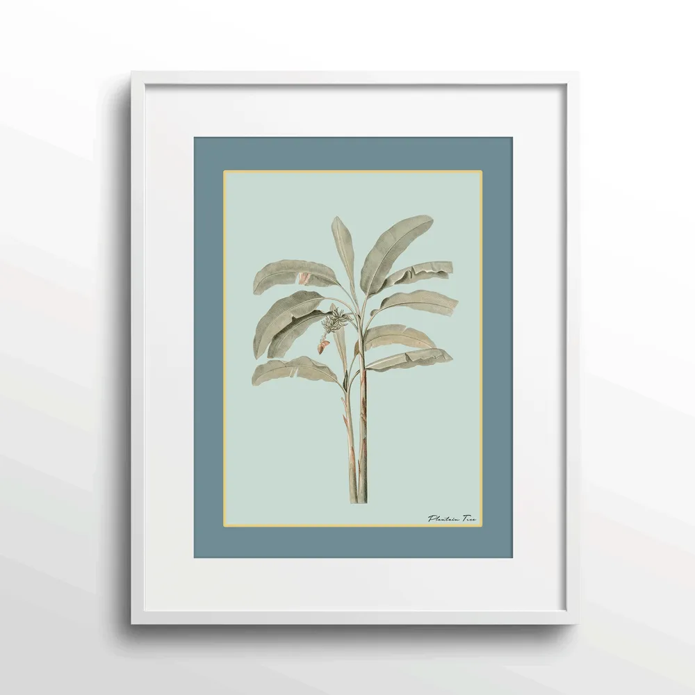 Plantain Tree I - Teal