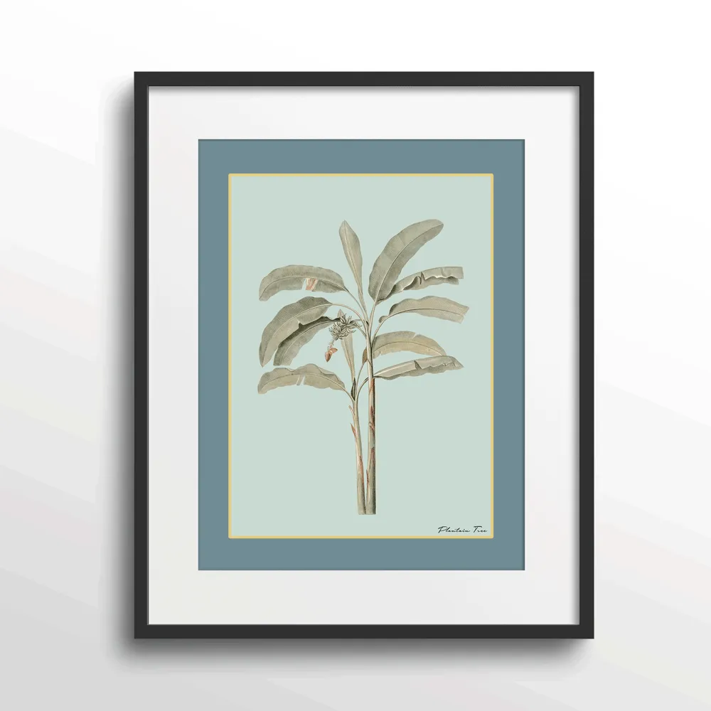 Plantain Tree I - Teal