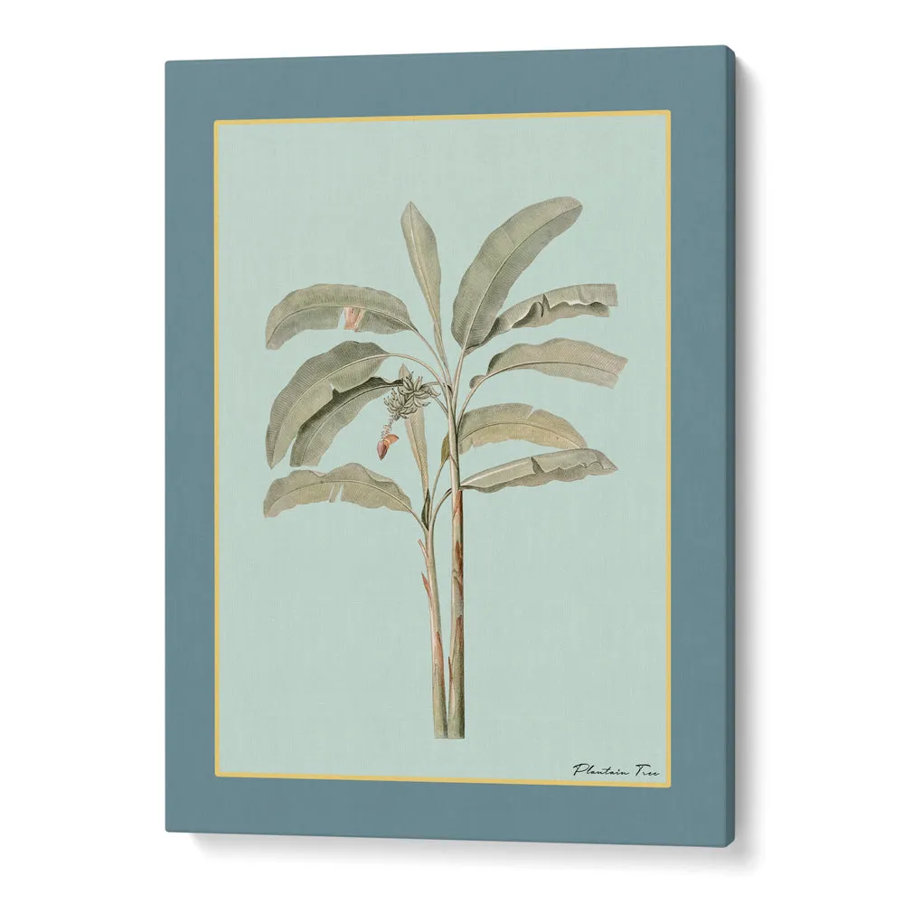 Plantain Tree I - Teal