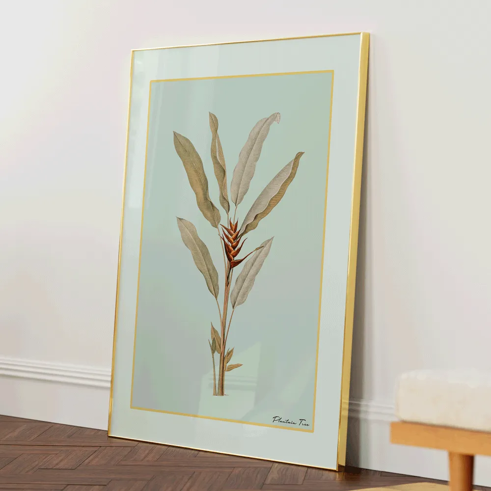 Plantain Tree II - Coast