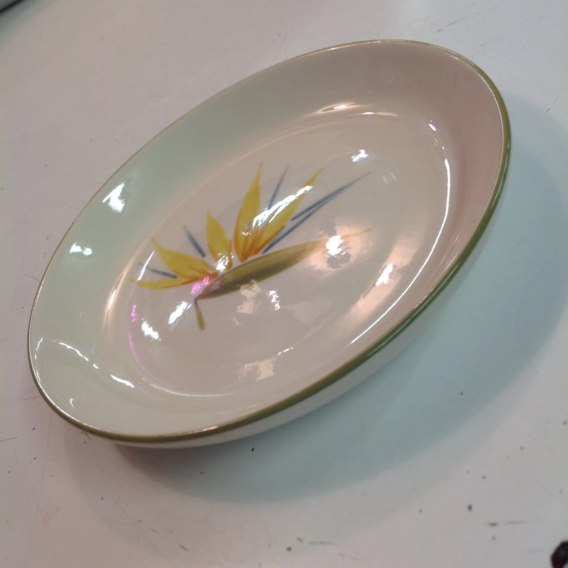Vintage Handcrafted Winfield China Bird of Paradise Patterned Bread Plate